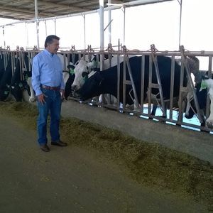 Meet your Posher, Arnulfo